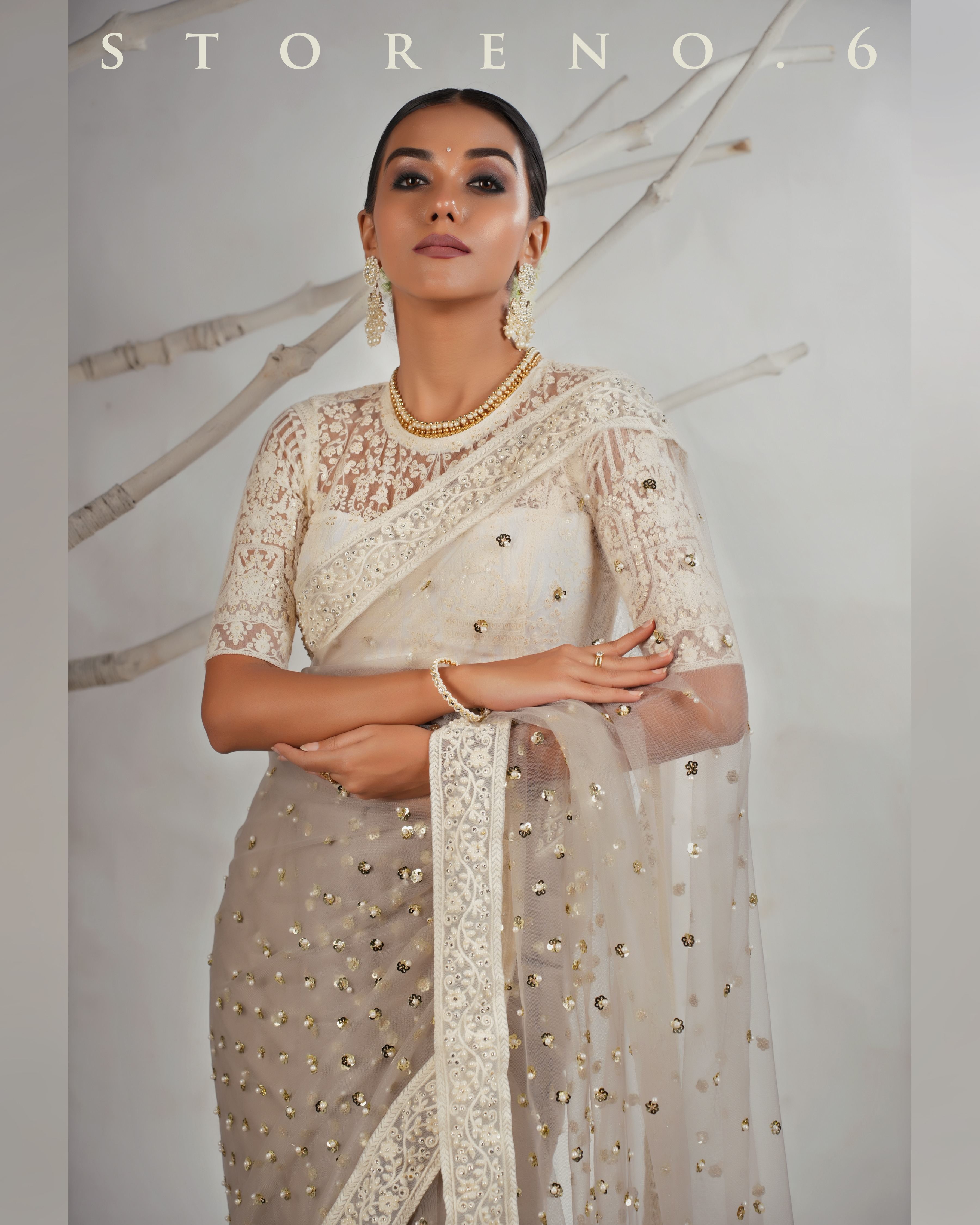 THE AGELESS ASH SAREE WITH CHAANDNI CLASSIC BLOUSE