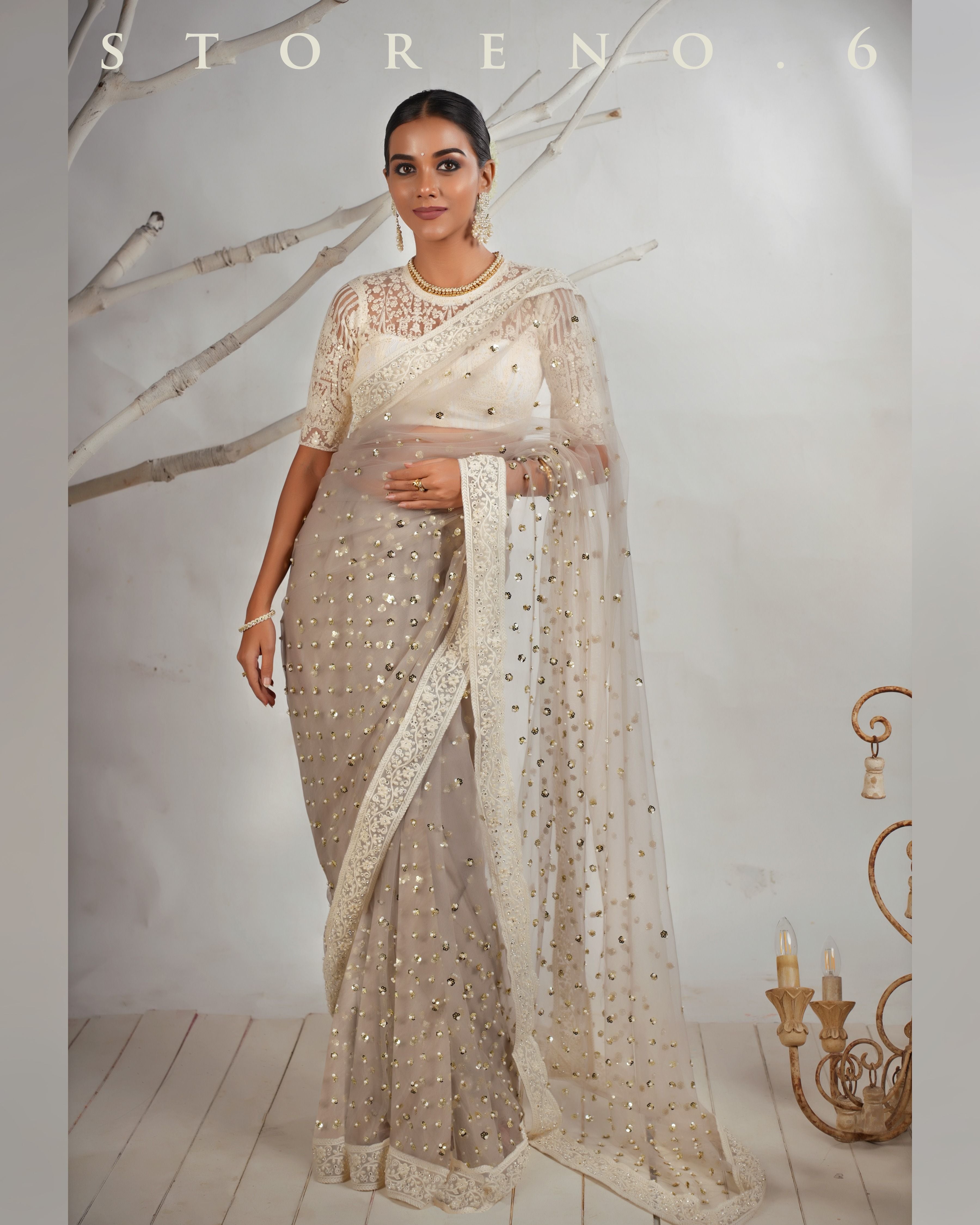 THE AGELESS ASH SAREE WITH CHAANDNI CLASSIC BLOUSE