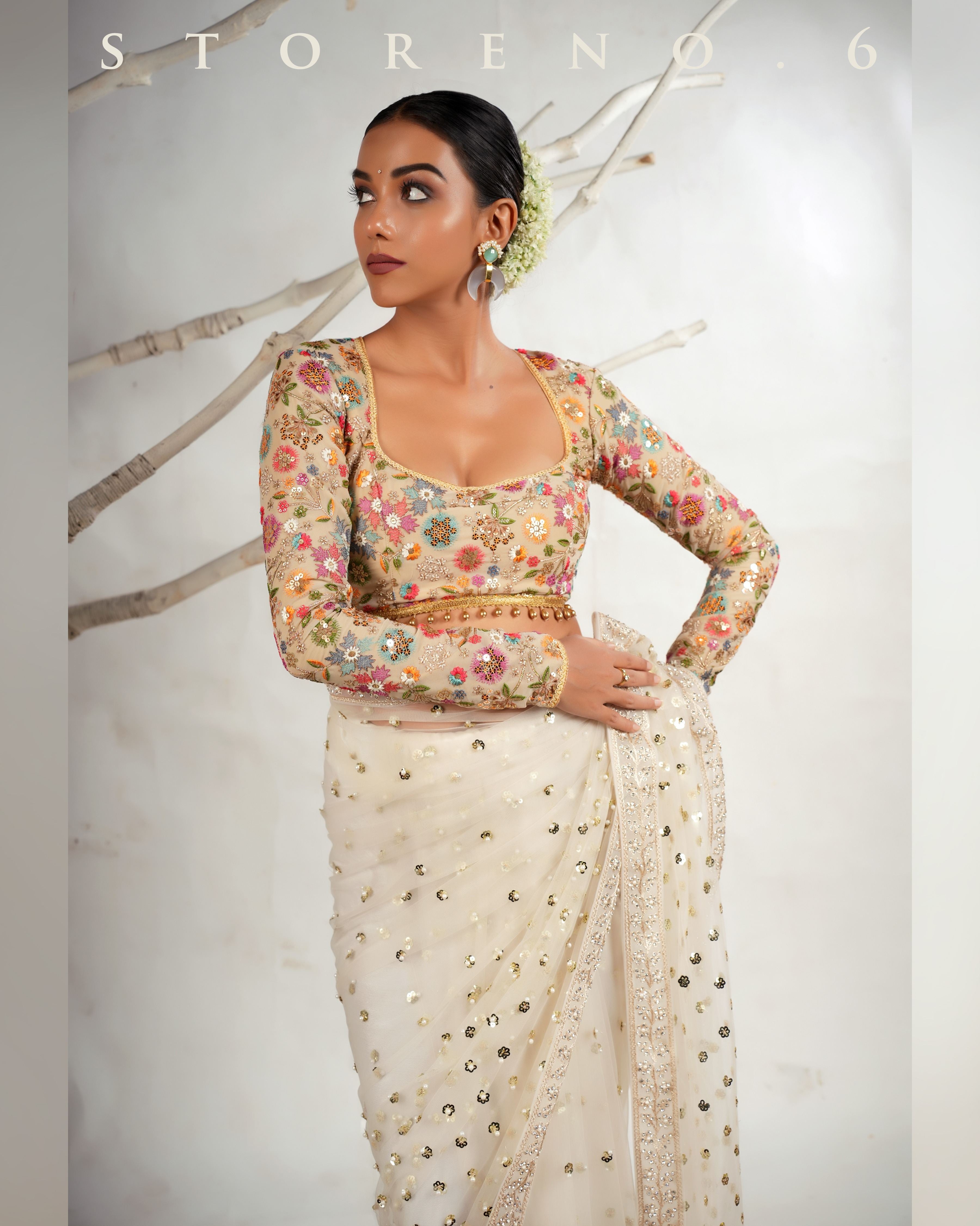 THE FROST FAME SAREE WITH THE DREAM DELIGHT BLOUSE