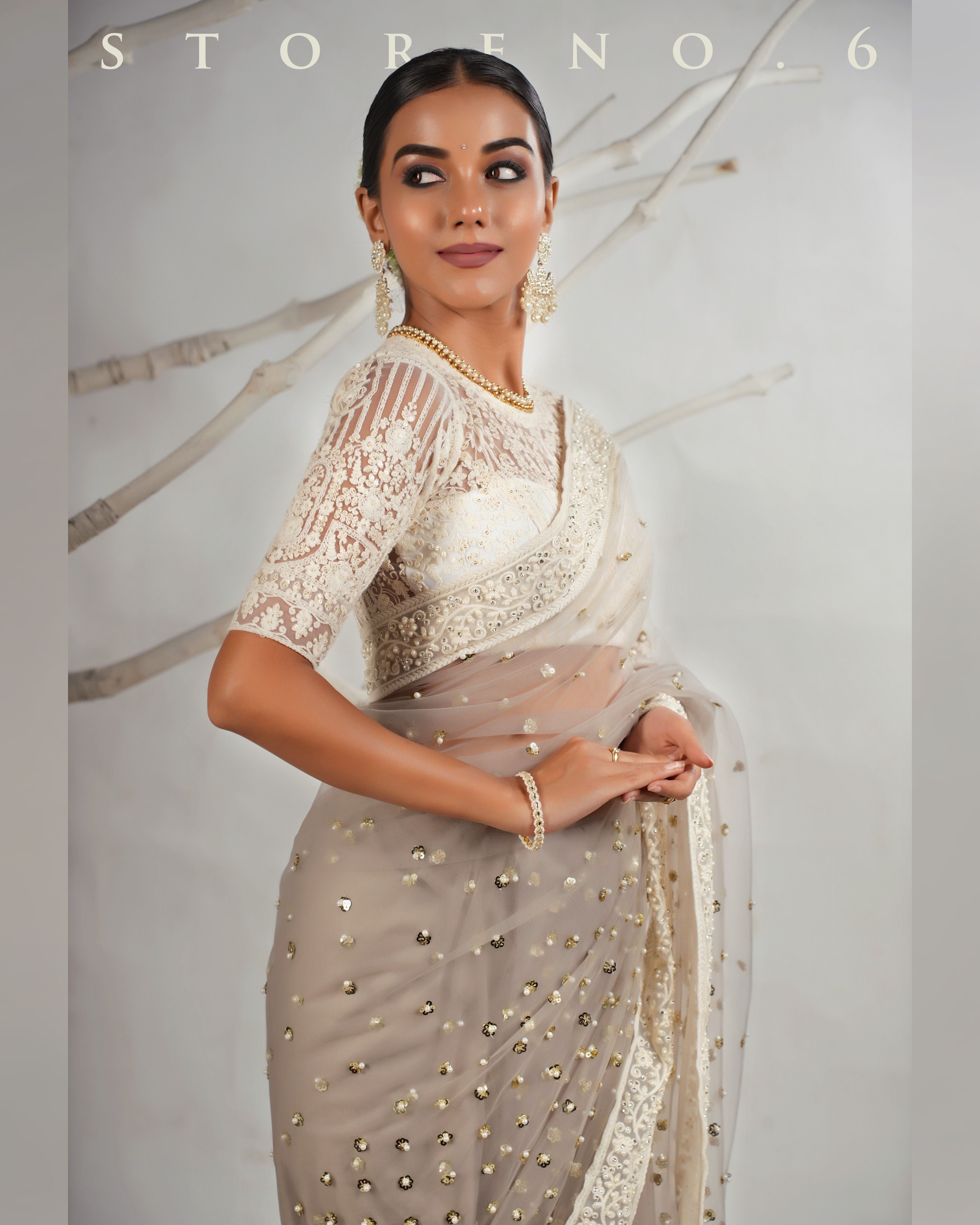 THE AGELESS ASH SAREE WITH CHAANDNI CLASSIC BLOUSE