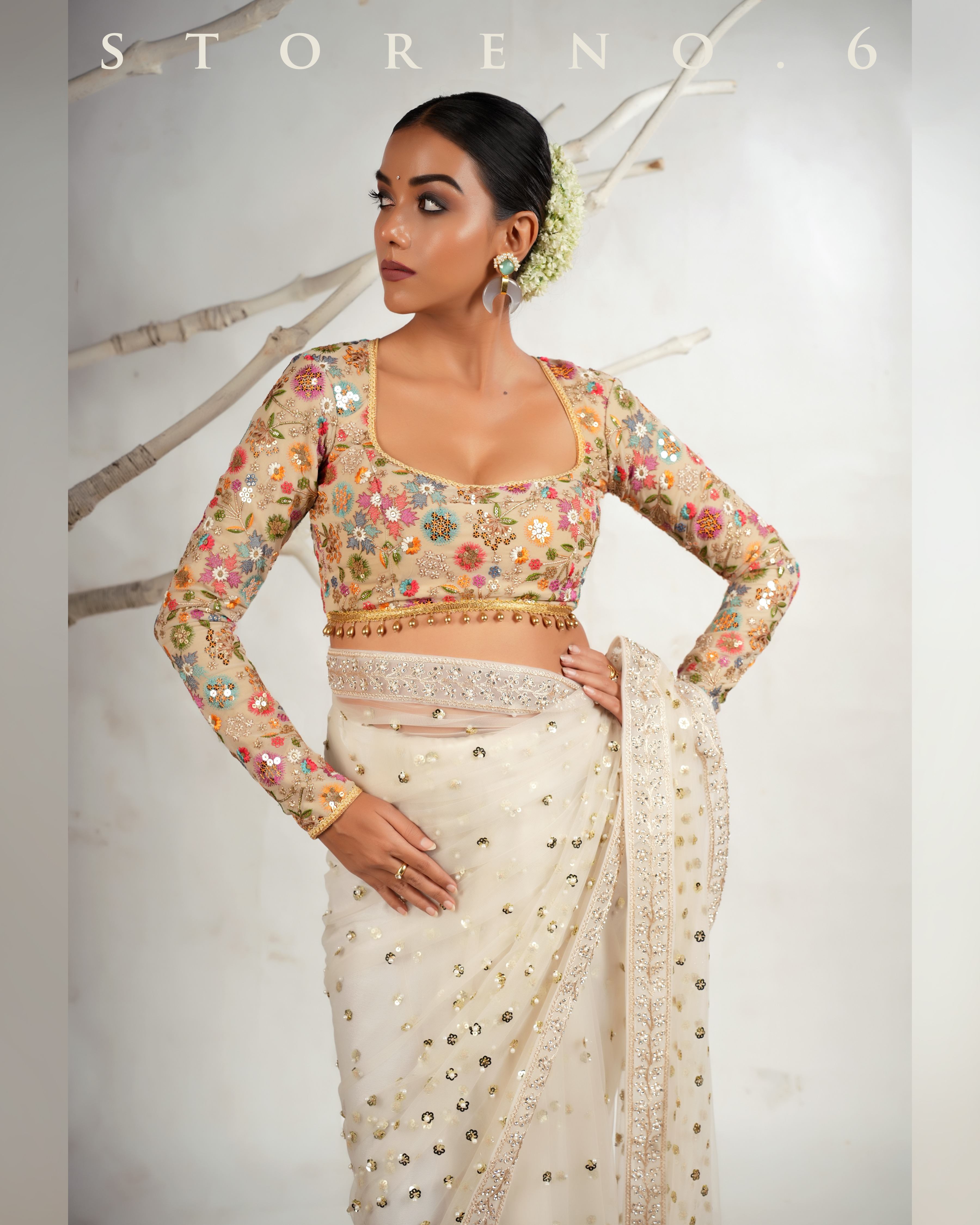 THE FROST FAME SAREE WITH THE DREAM DELIGHT BLOUSE