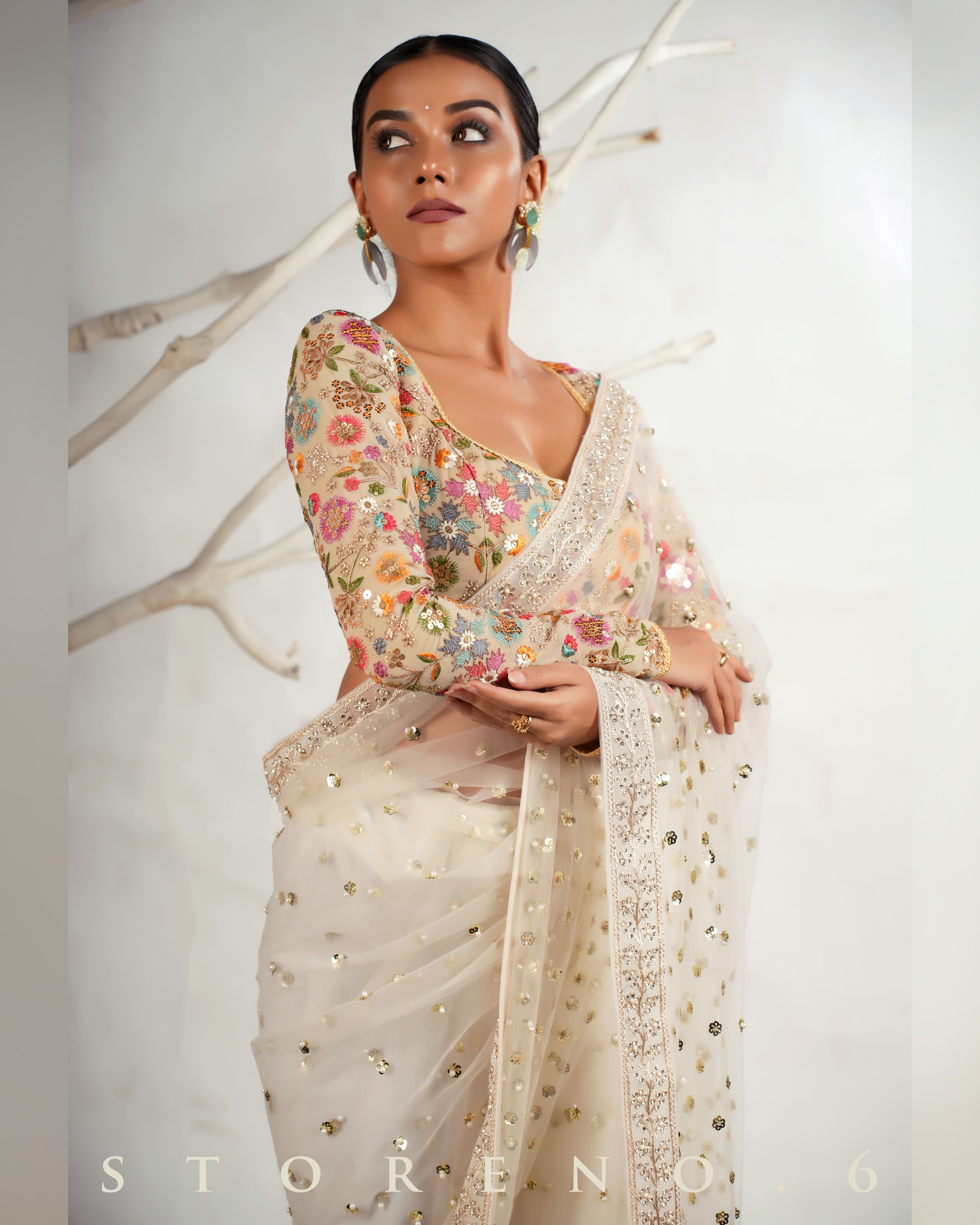 THE FROST FAME SAREE WITH THE DREAM DELIGHT BLOUSE