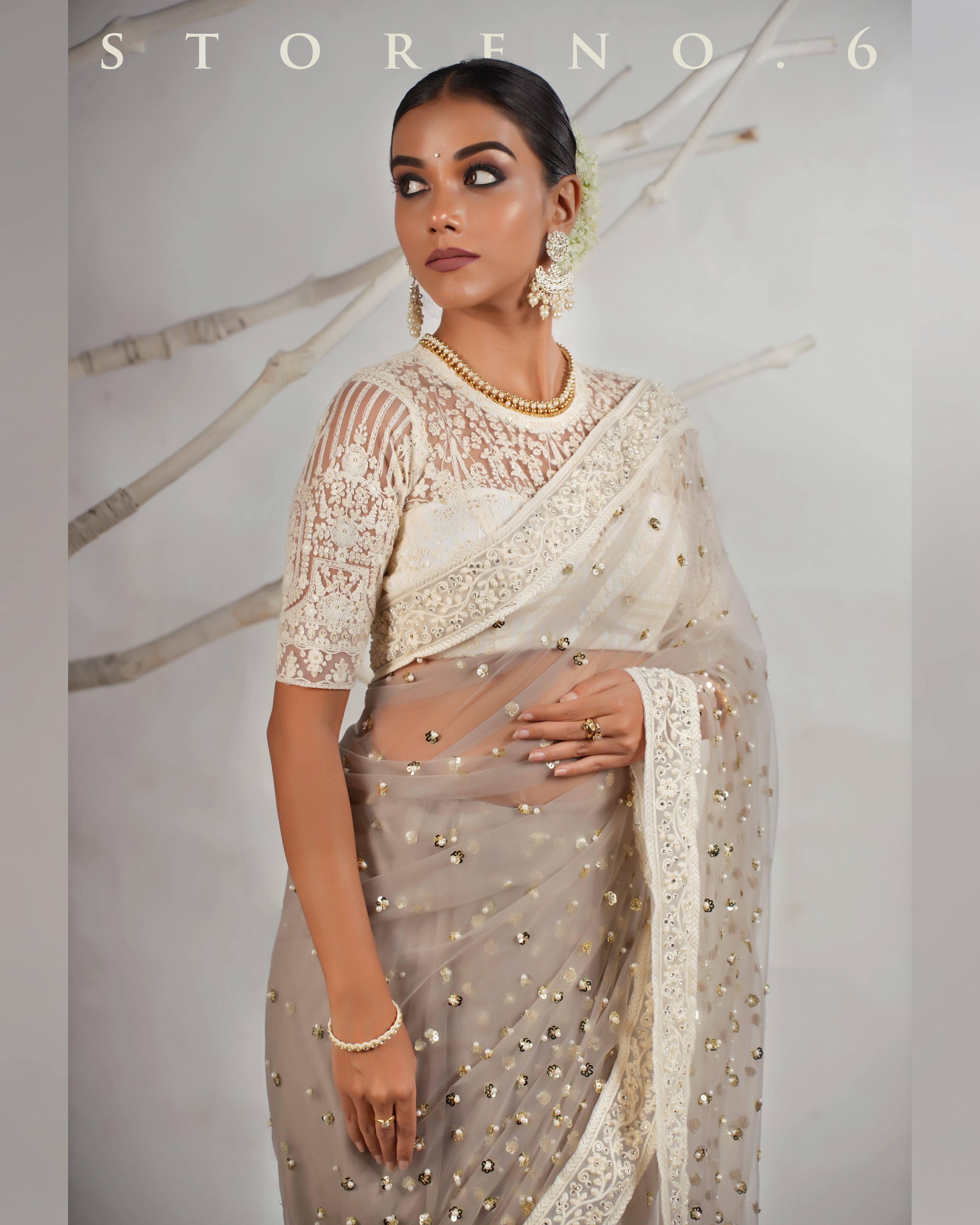 THE AGELESS ASH SAREE WITH CHAANDNI CLASSIC BLOUSE