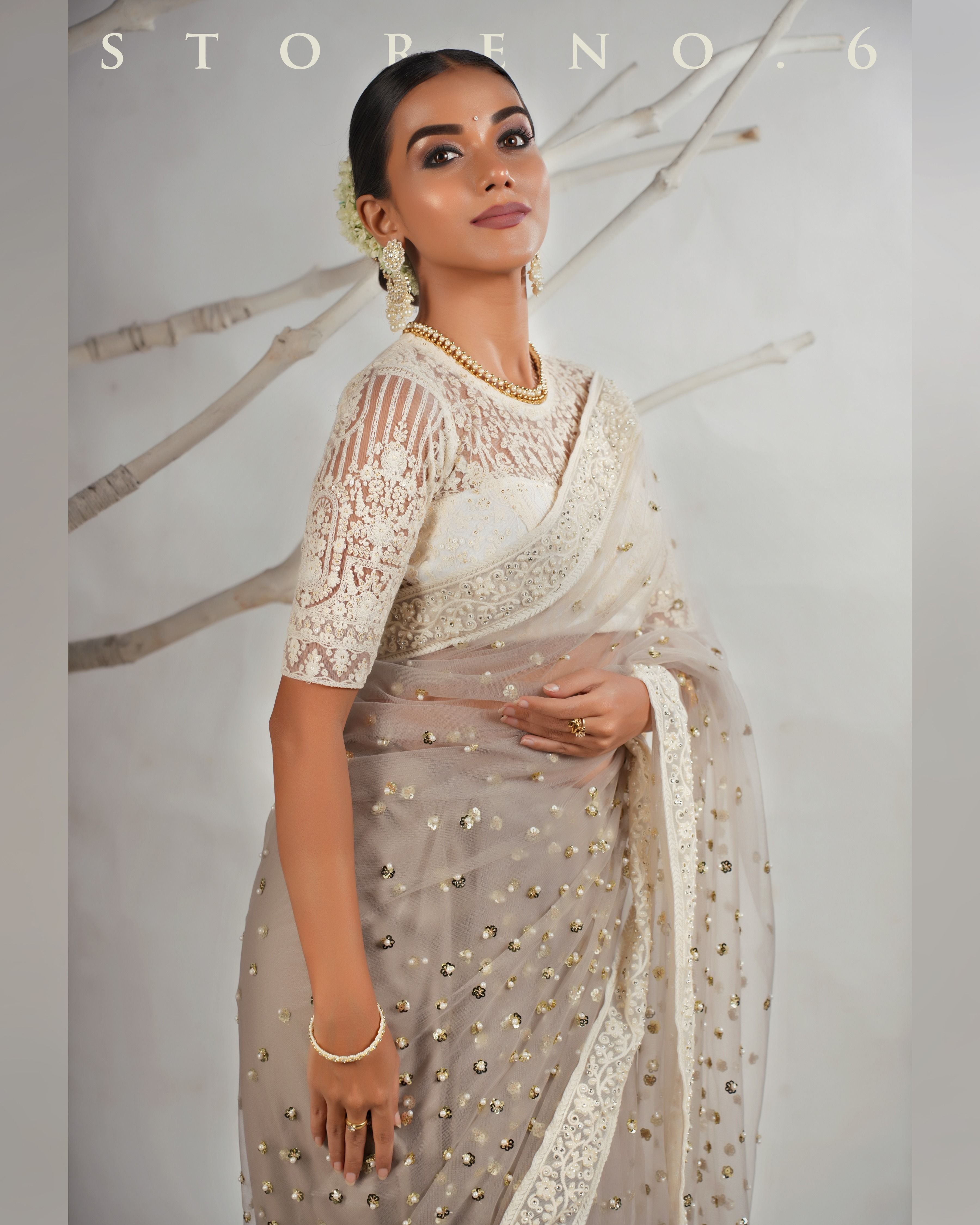 THE AGELESS ASH SAREE WITH CHAANDNI CLASSIC BLOUSE